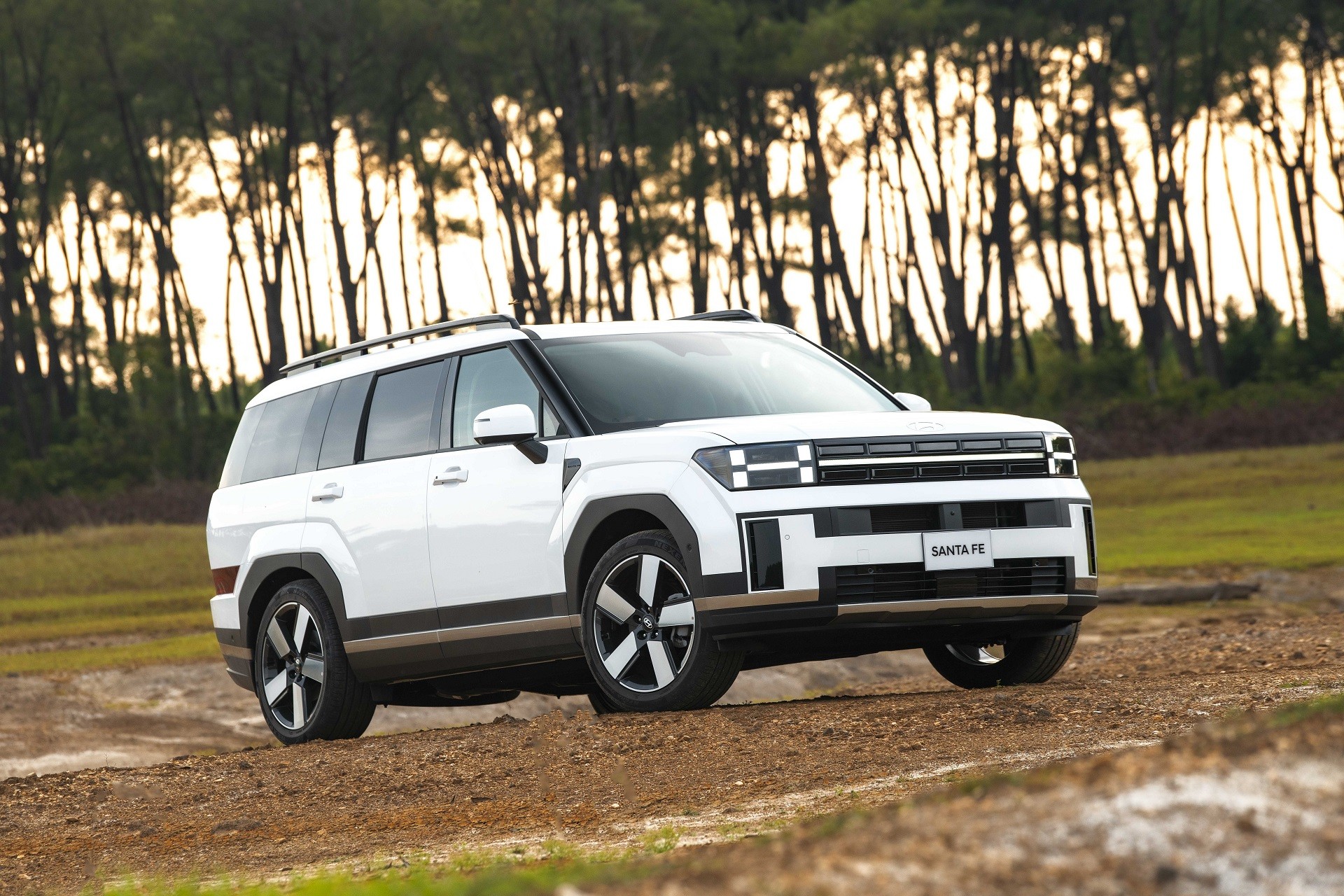 /saigoncms/files/images/Hyundai-Santafe-White-Rung-37.jpg